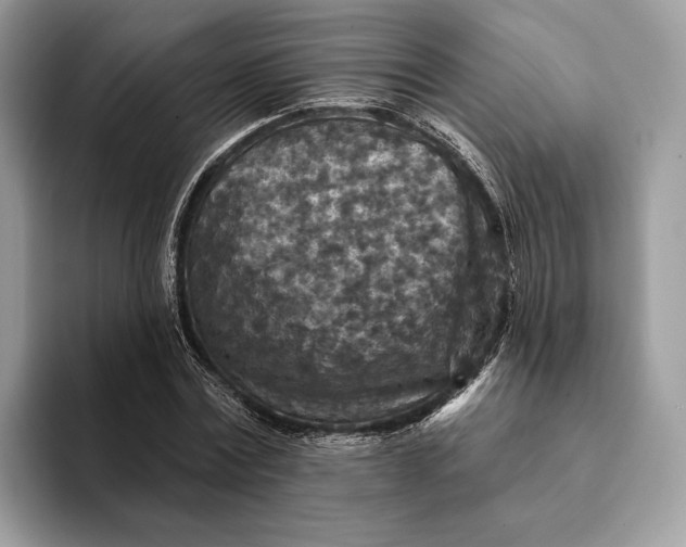 X0000093170779200710171227