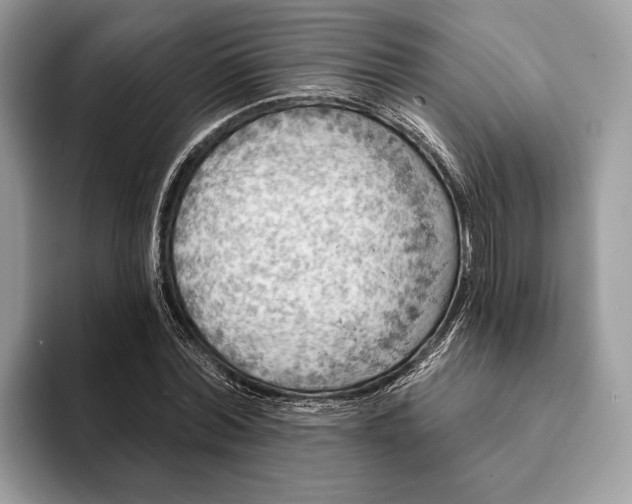 X0000093170780200710171227