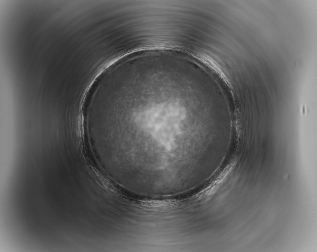 X0000093170781200710171227