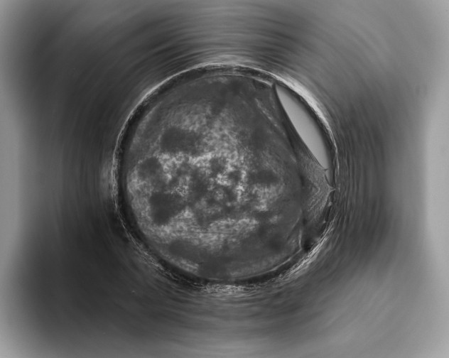 X0000093170783200710171227