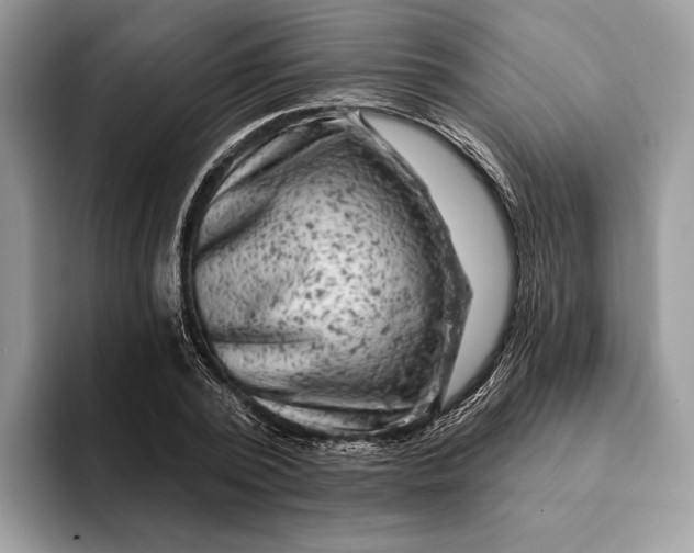 X0000093170784200710171227