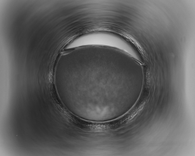 X0000093170785200710171227