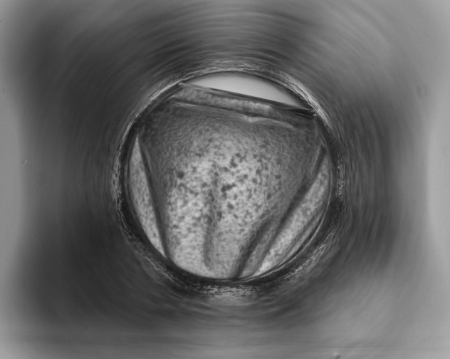 X0000093170786200710171227