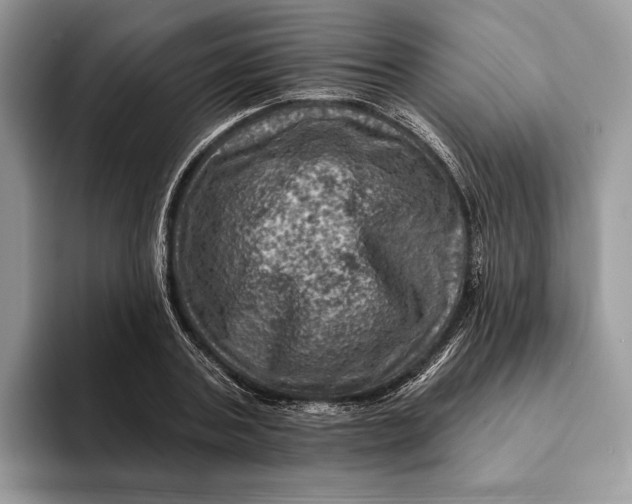 X0000093170787200710171227