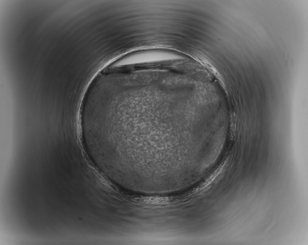 X0000093170789200710171227