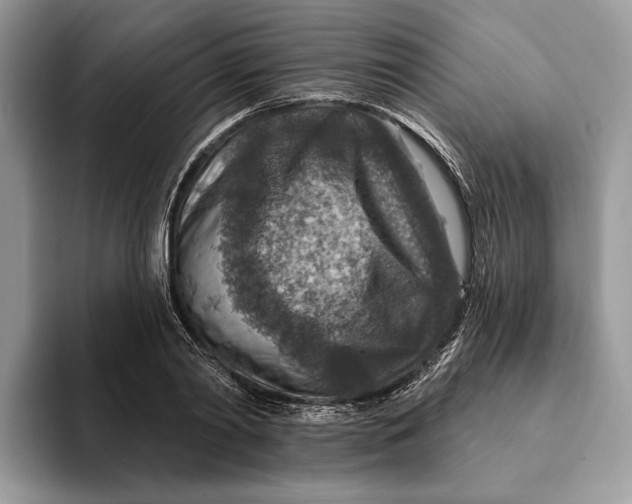 X0000093170790200710171227