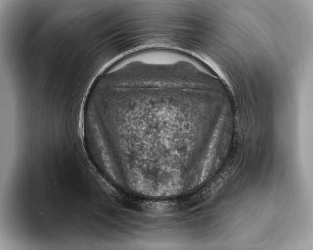 X0000093170791200710171227