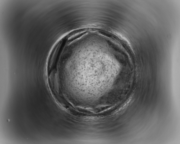 X0000093170792200710171227