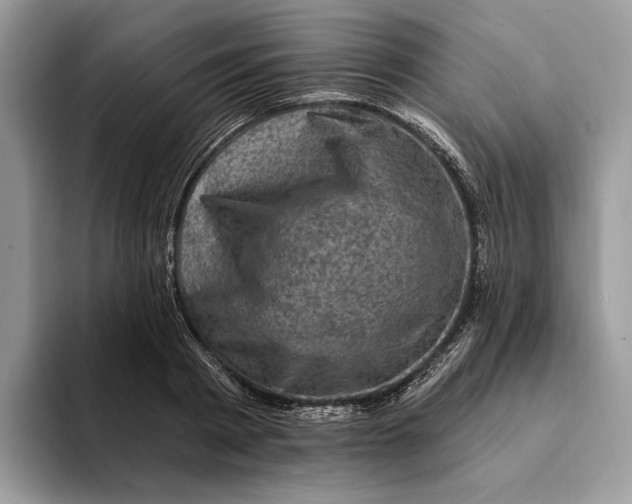 X0000093170793200710171227