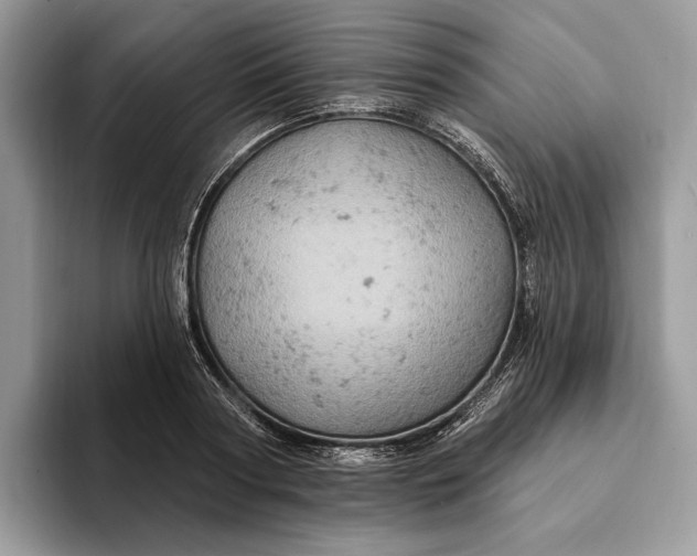 X0000093170794200710171227