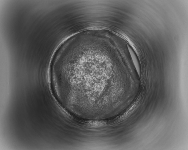 X0000093170795200710171227