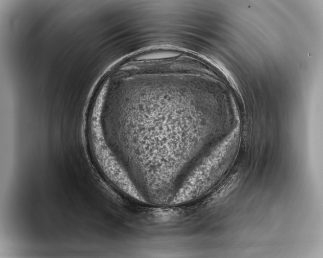 X0000093170799200710171227