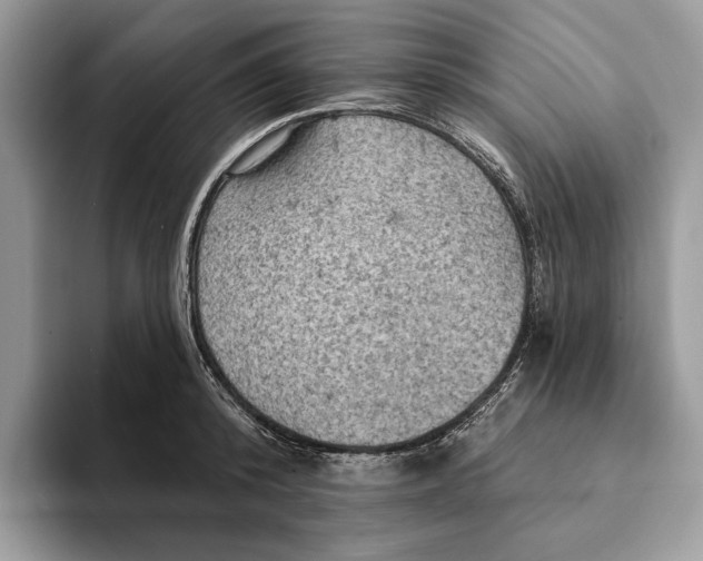 X0000093170800200710171227