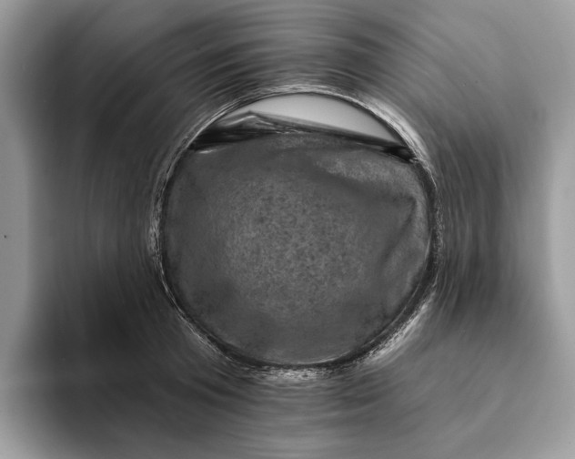 X0000093170801200710171227