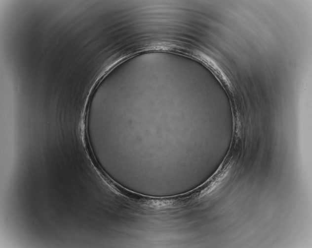 X0000093170802200710171227