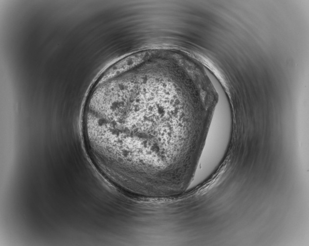 X0000093170803200710171227