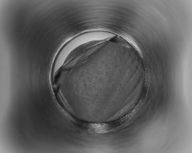 X0000093170805200710171227