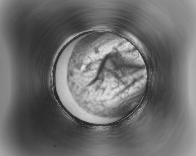 X0000093170808200710171227