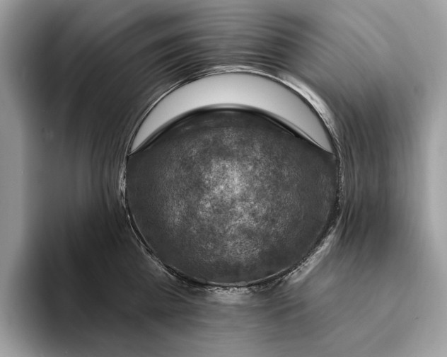 X0000093170809200710171227