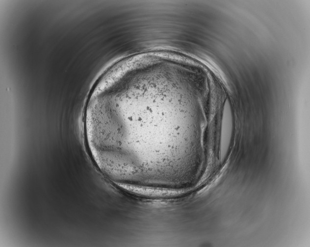 X0000093170814200710171227