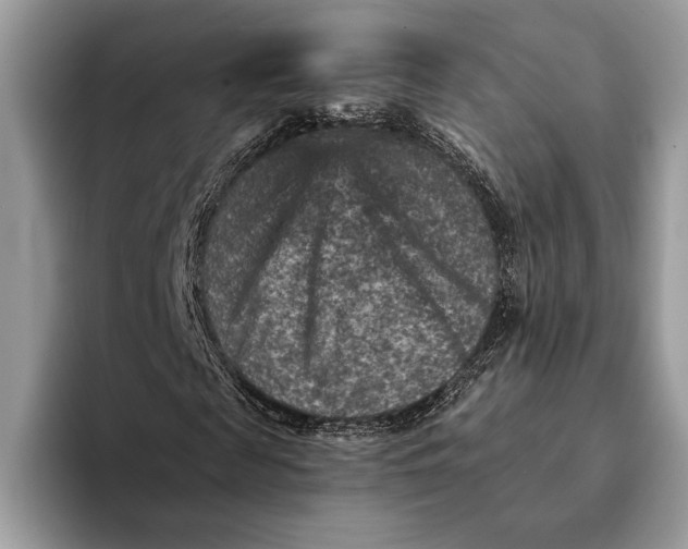 X0000093170817200710171226