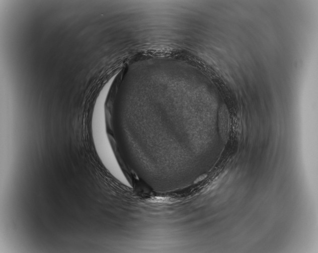 X0000093170818200710171226