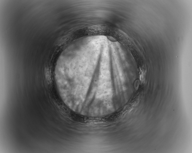 X0000093170819200710171226