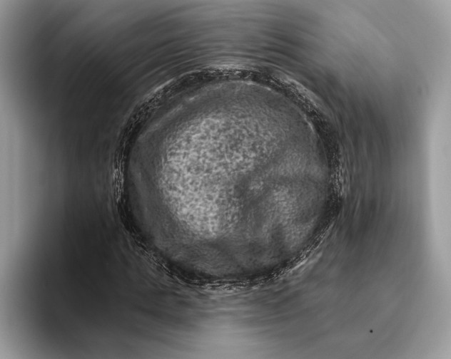 X0000093170821200710171226