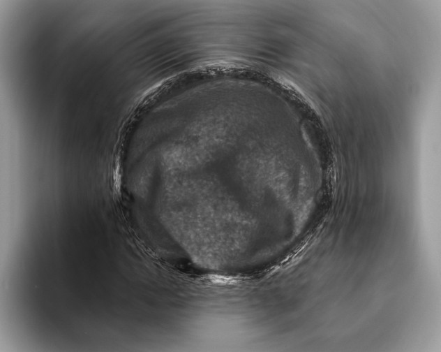 X0000093170822200710171226