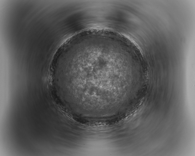 X0000093170823200710171226