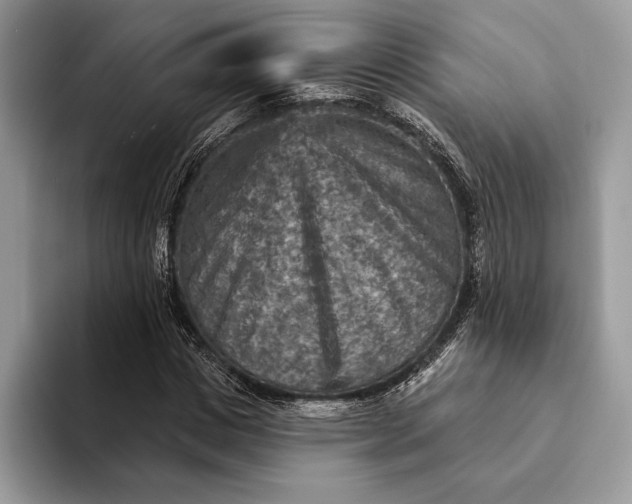 X0000093170825200710171226