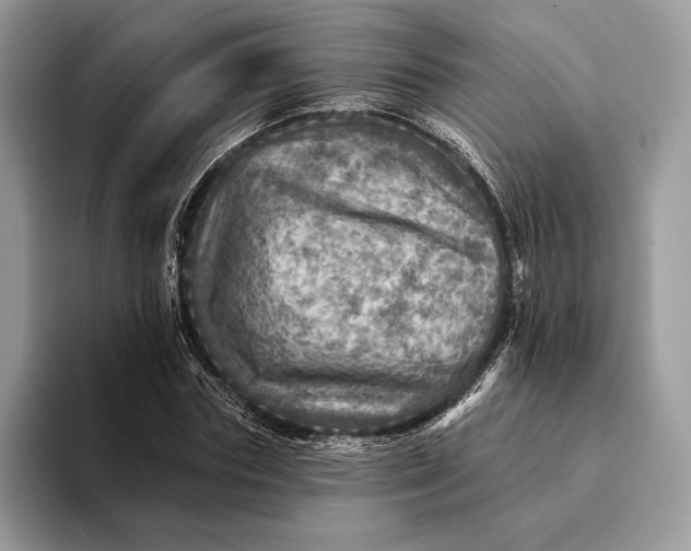 X0000093170827200710171226