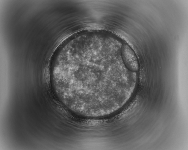 X0000093170829200710171226