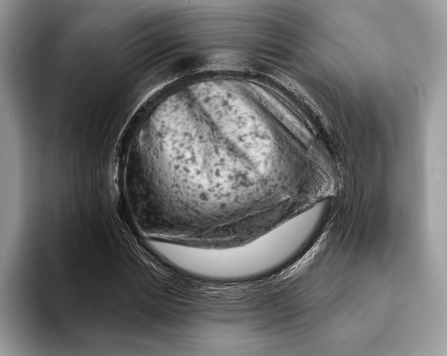 X0000093170830200710171226