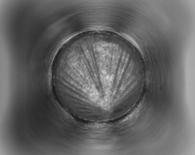 X0000093170831200710171226