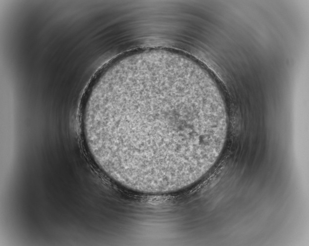 X0000093170832200710171226