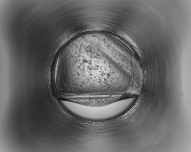 X0000093170834200710171226