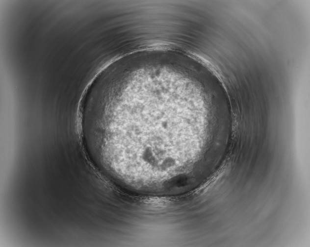 X0000093170835200710171226