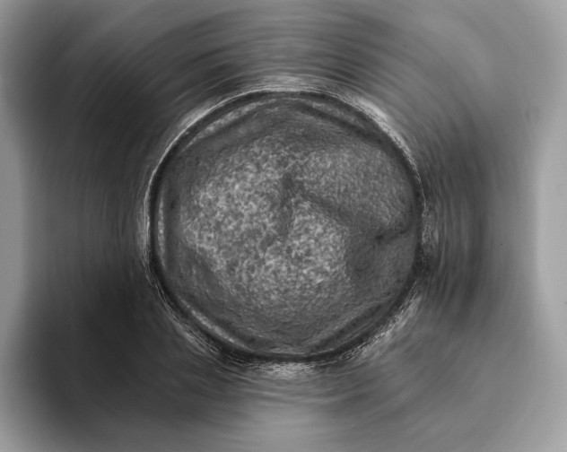 X0000093170837200710171226