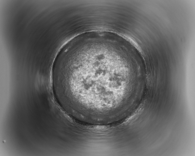 X0000093170839200710171226