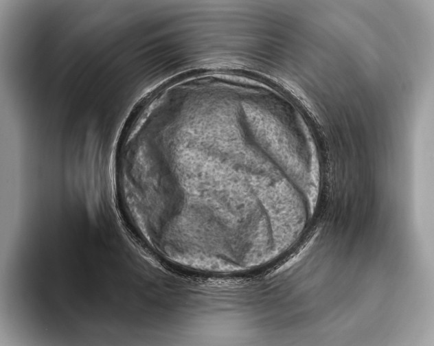 X0000093170840200710171226