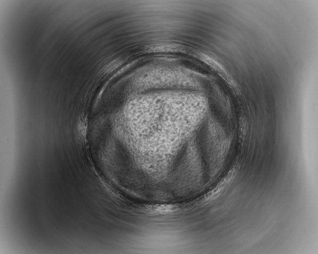 X0000093170841200710171226