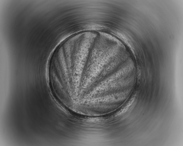 X0000093170843200710171226