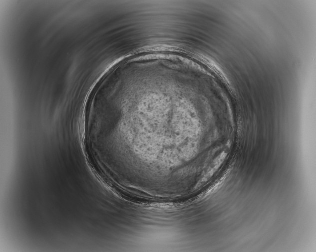 X0000093170844200710171226