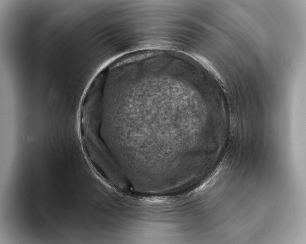 X0000093170846200710171226