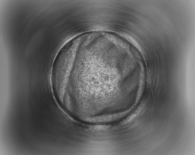 X0000093170847200710171226