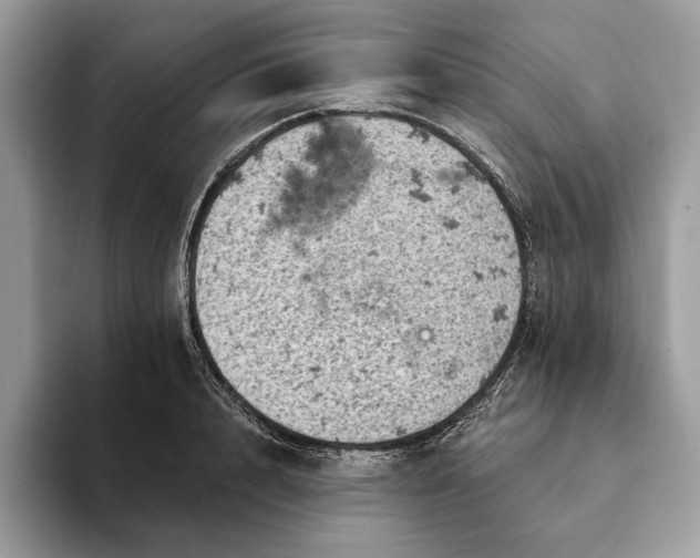 X0000093170848200710171226