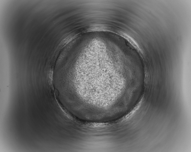 X0000093170849200710171226