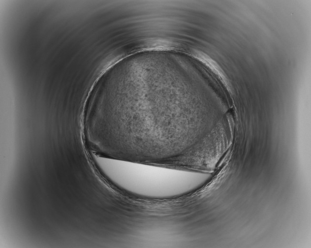 X0000093170850200710171226