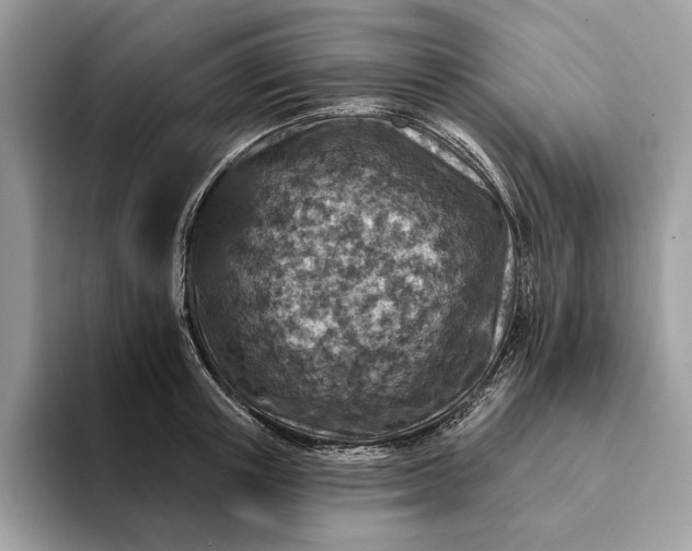 X0000093170851200710171226